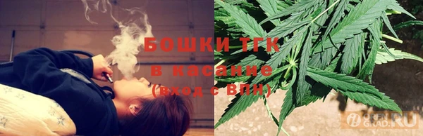 мяу мяу мука Аркадак