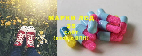 СК Арсеньев