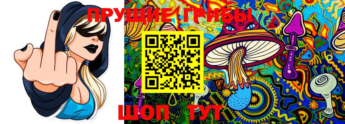 Псилоцибиновые грибы MAGIC MUSHROOMS  Вход с VPN  Галлюциногенные грибы Cubensis  Нефтекумск 