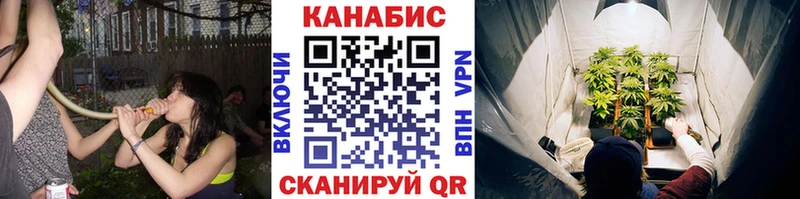 hydra tor  Нефтекумск  МАРИХУАНА сатива  продажа наркотиков 